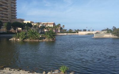 El Partido Popular propone que se limpie el fondo del Lago de la Goleta